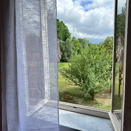 Paradiso